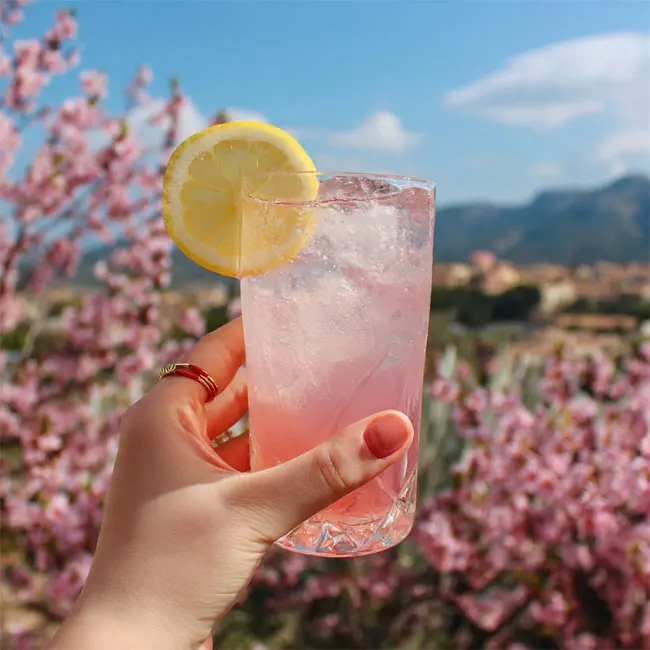 Rose Lemon Sparkling Refresher – Celebration drink recipe from Cyprus
